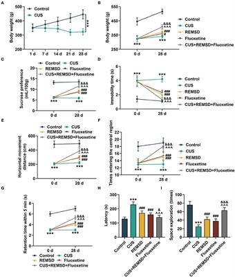 Rapid Eye Movement Sleep Deprivation Combined With Fluoxetine Protects Against Depression-Induced Damage and Apoptosis in Rat Hippocampi via A1 Adenosine Receptor